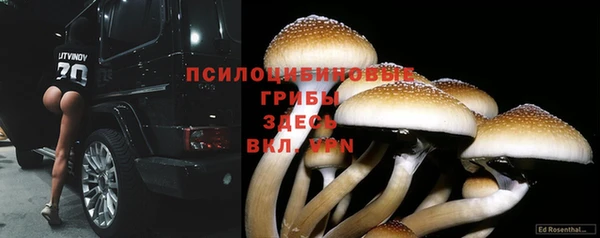 ГАЛЛЮЦИНОГЕННЫЕ ГРИБЫ Алексеевка