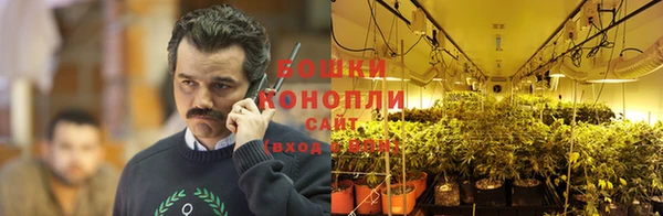 ГАЛЛЮЦИНОГЕННЫЕ ГРИБЫ Алексеевка