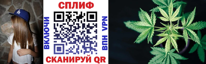 ссылка на мегу зеркало  Порхов  Конопля индика 